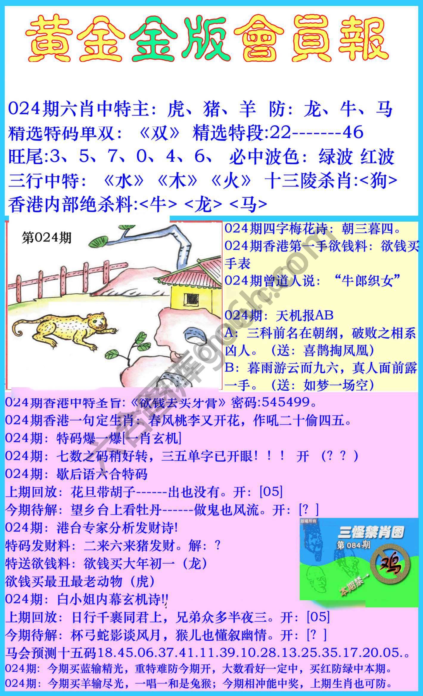 黄金金版会员报