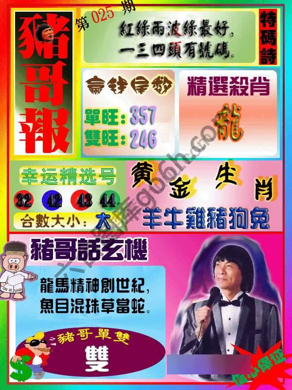 猪哥报