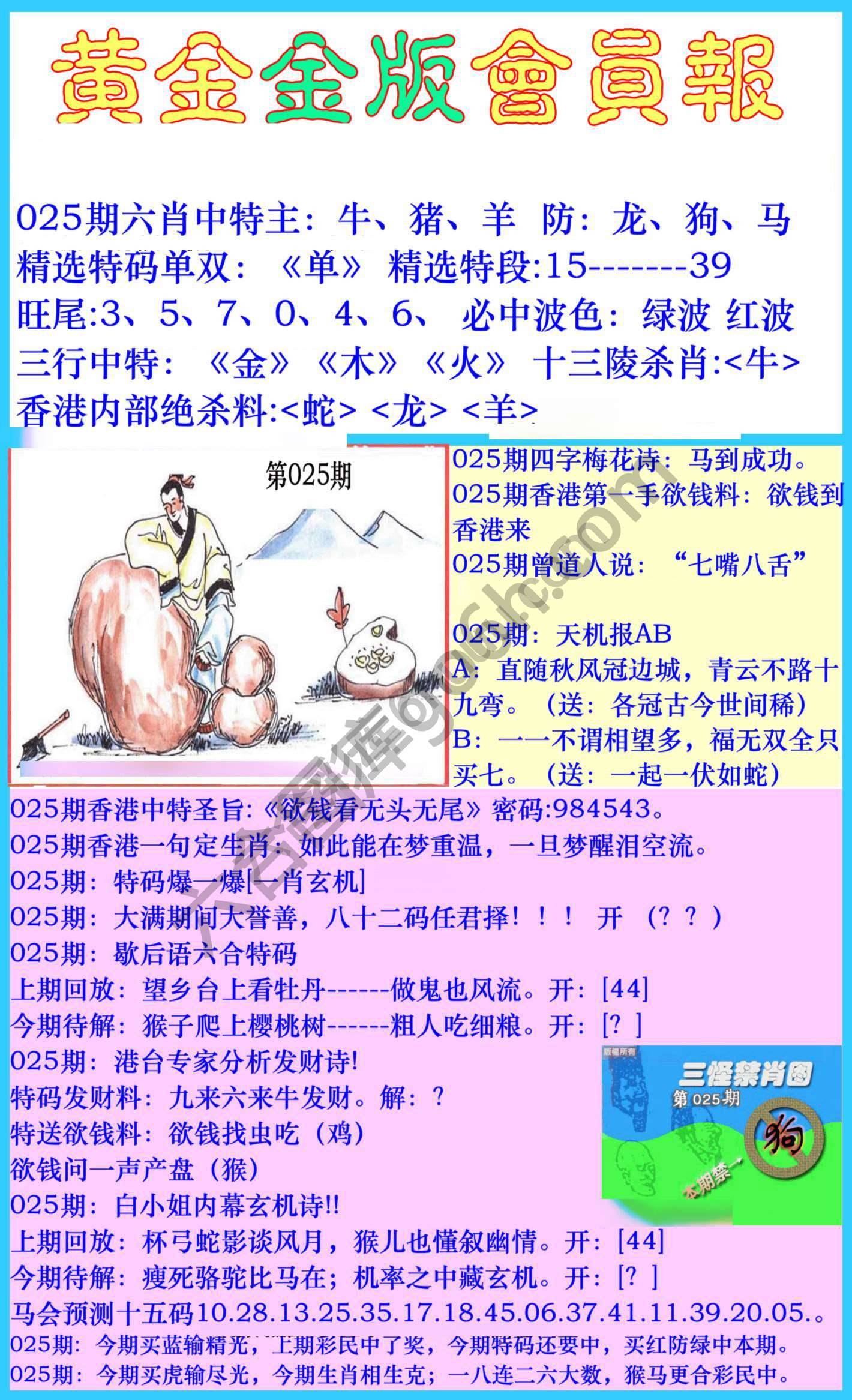 黄金金版会员报