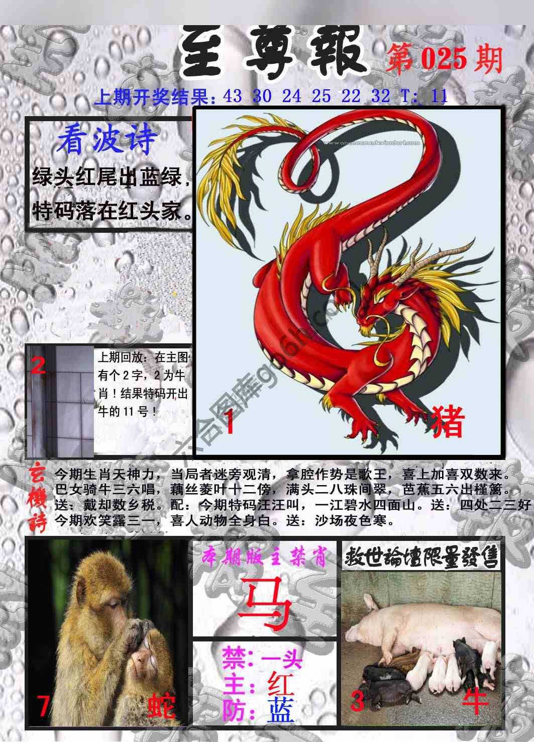 至尊报