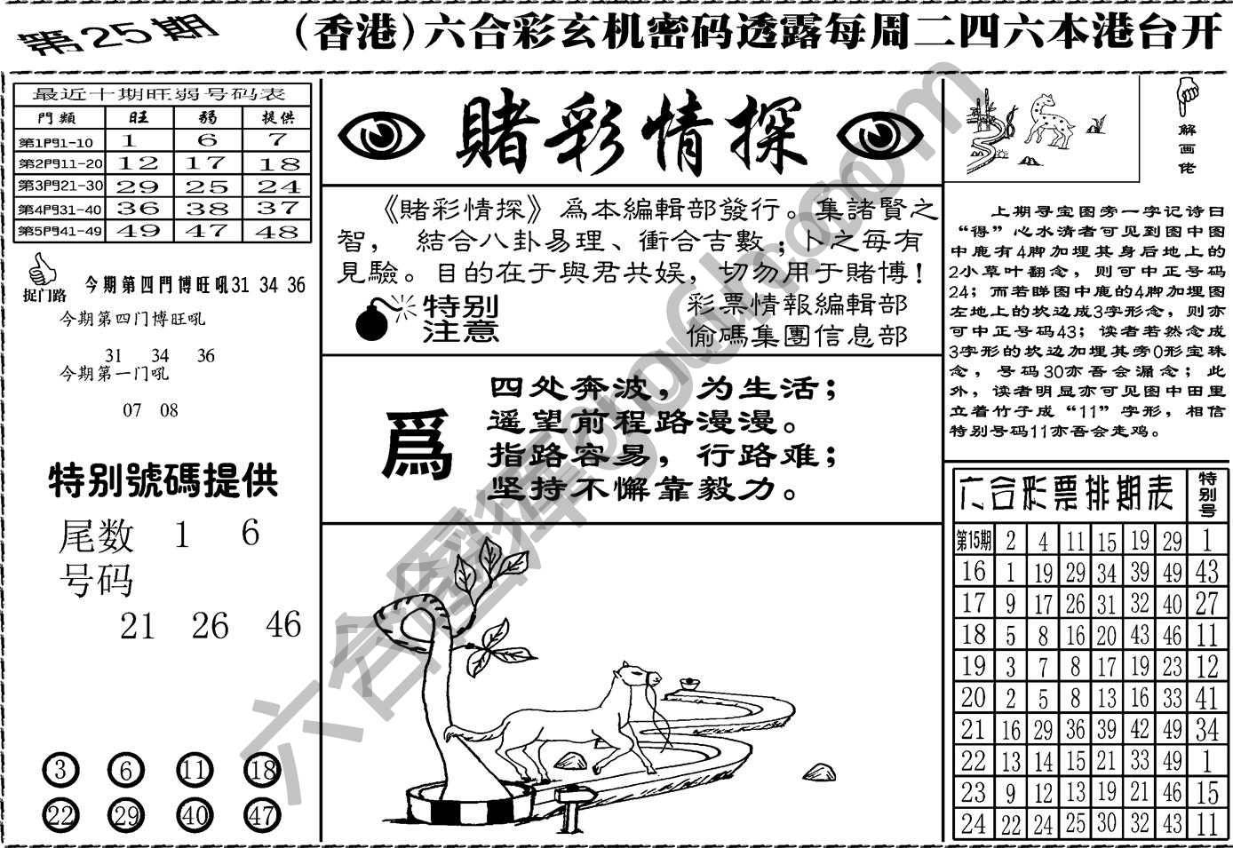 赌彩情探