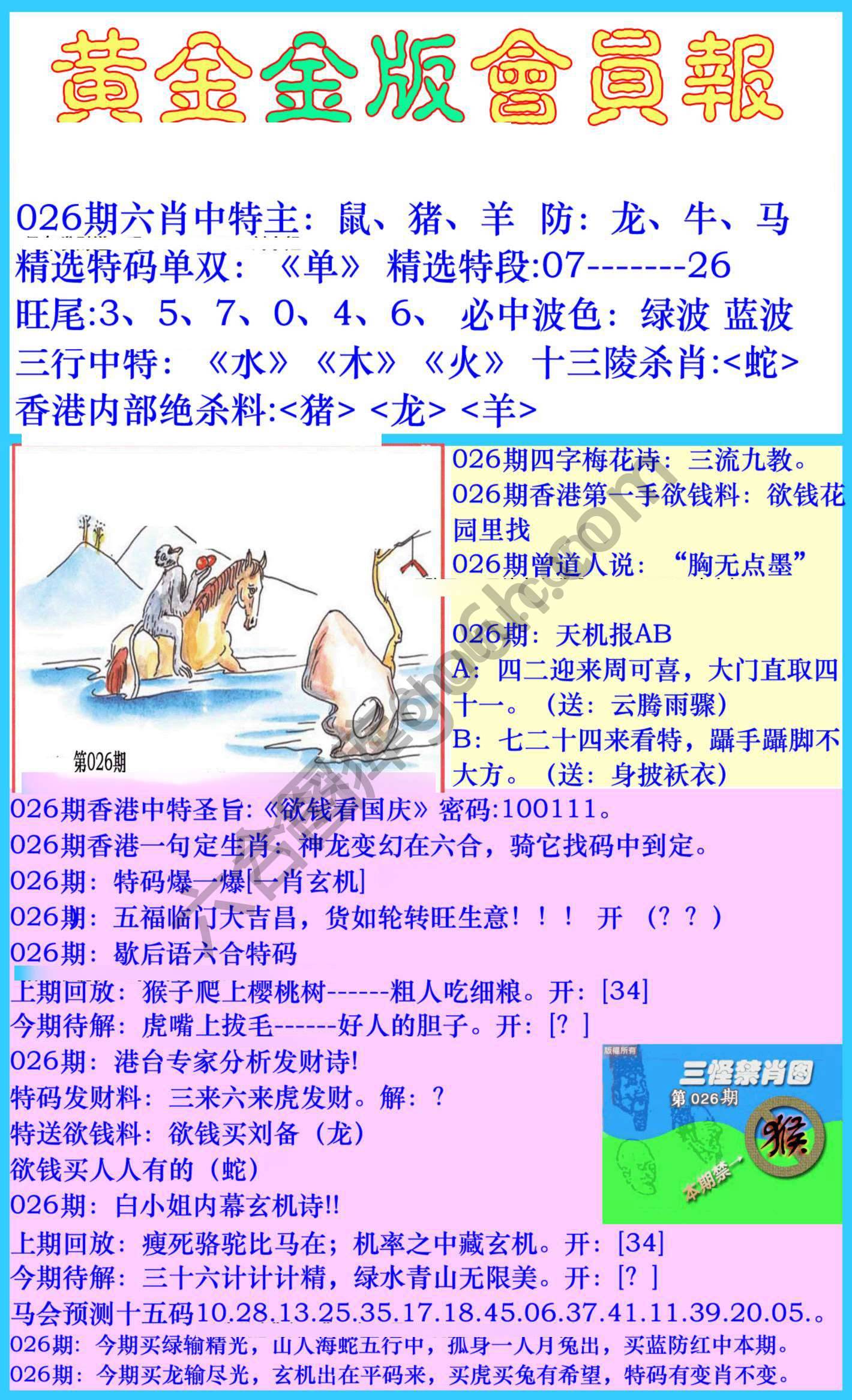 黄金金版会员报