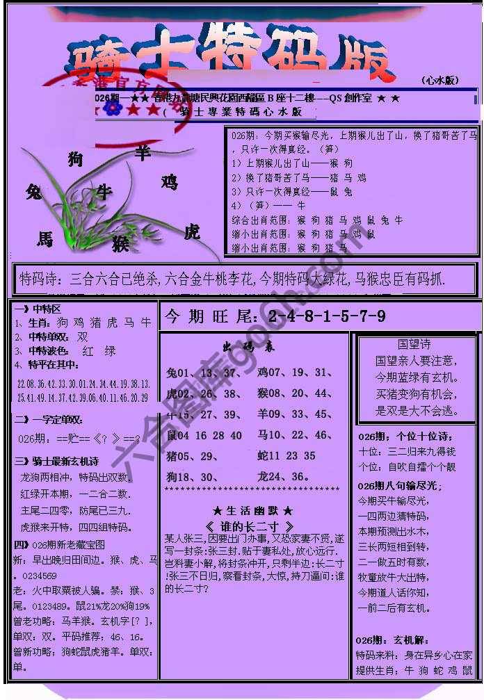 另类骑士特码版