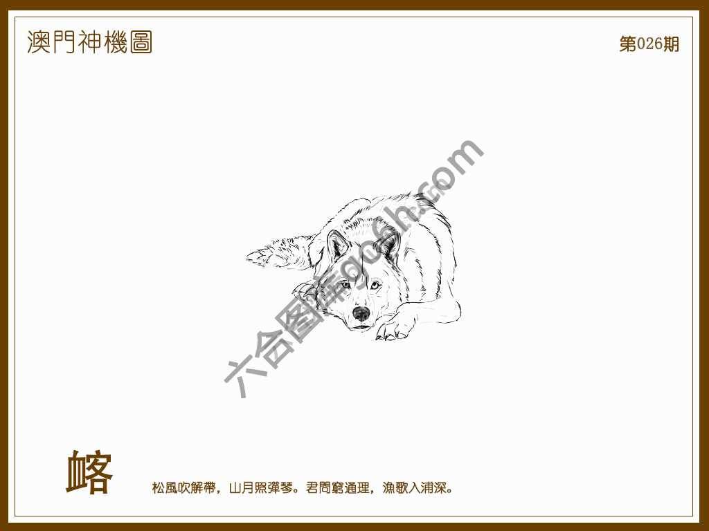 澳门神机图