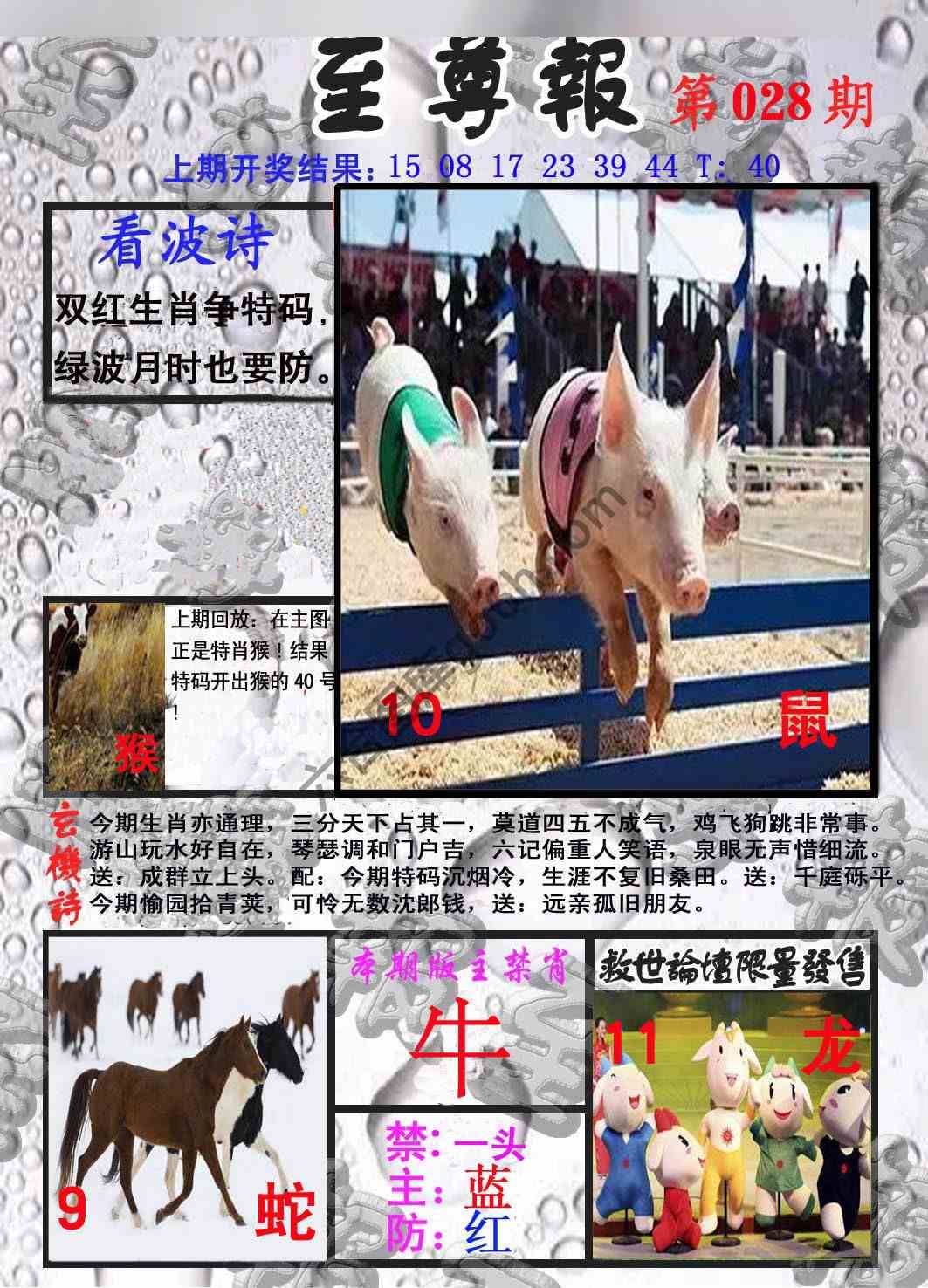 至尊报