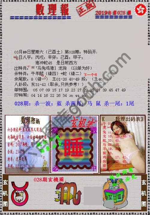 数理报