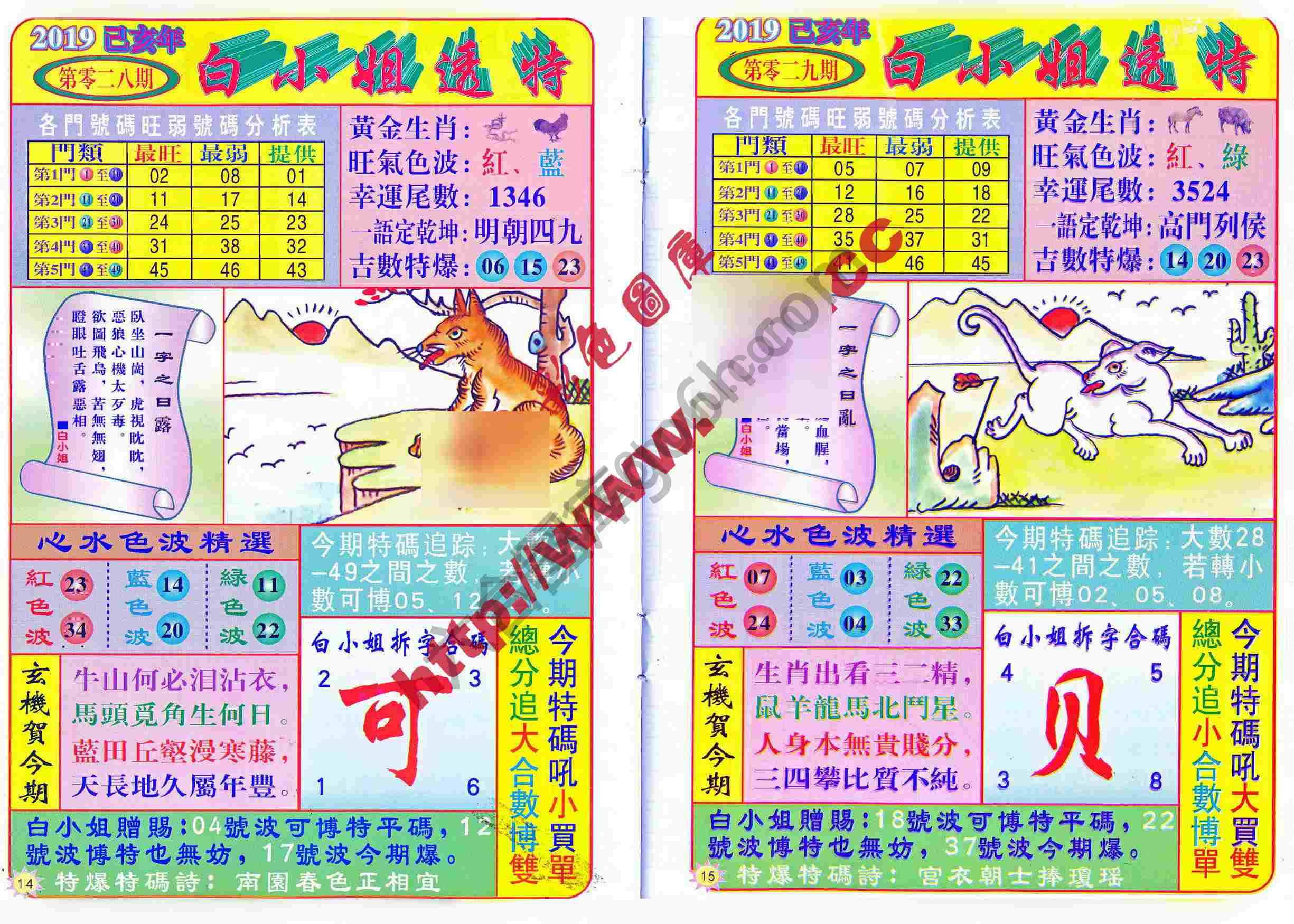 白小姐透特
