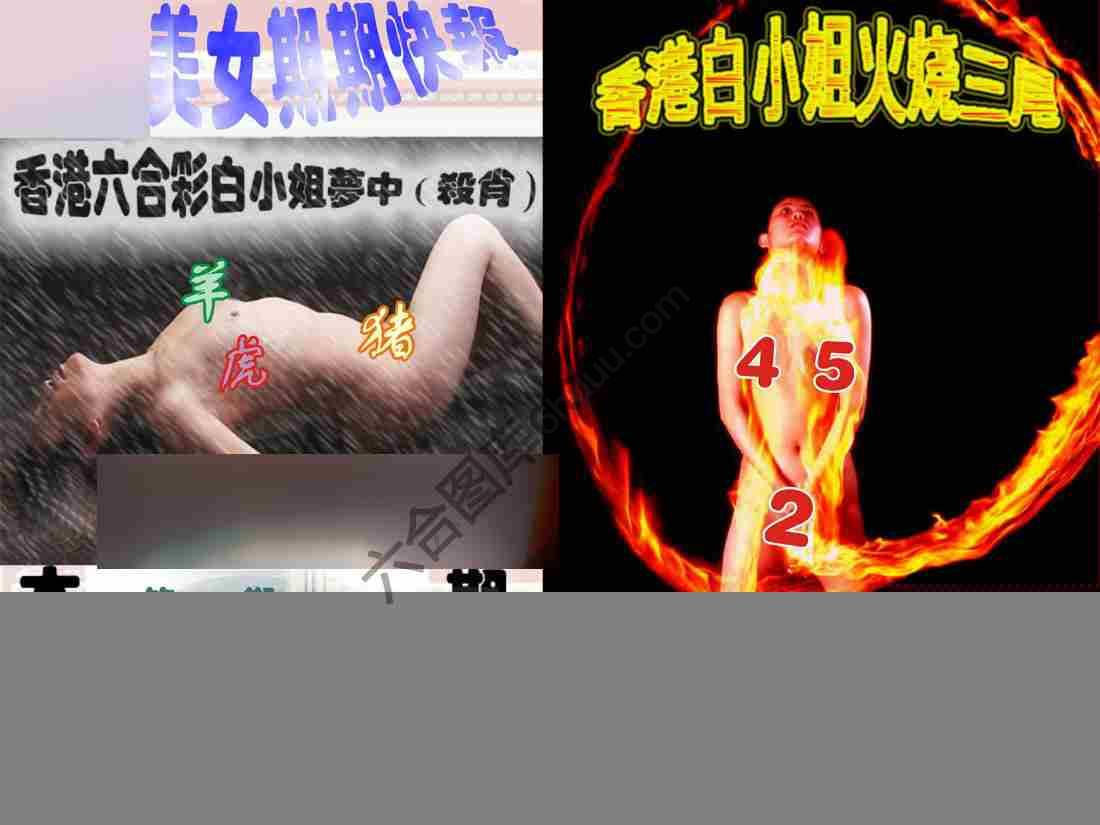环球美女特码报