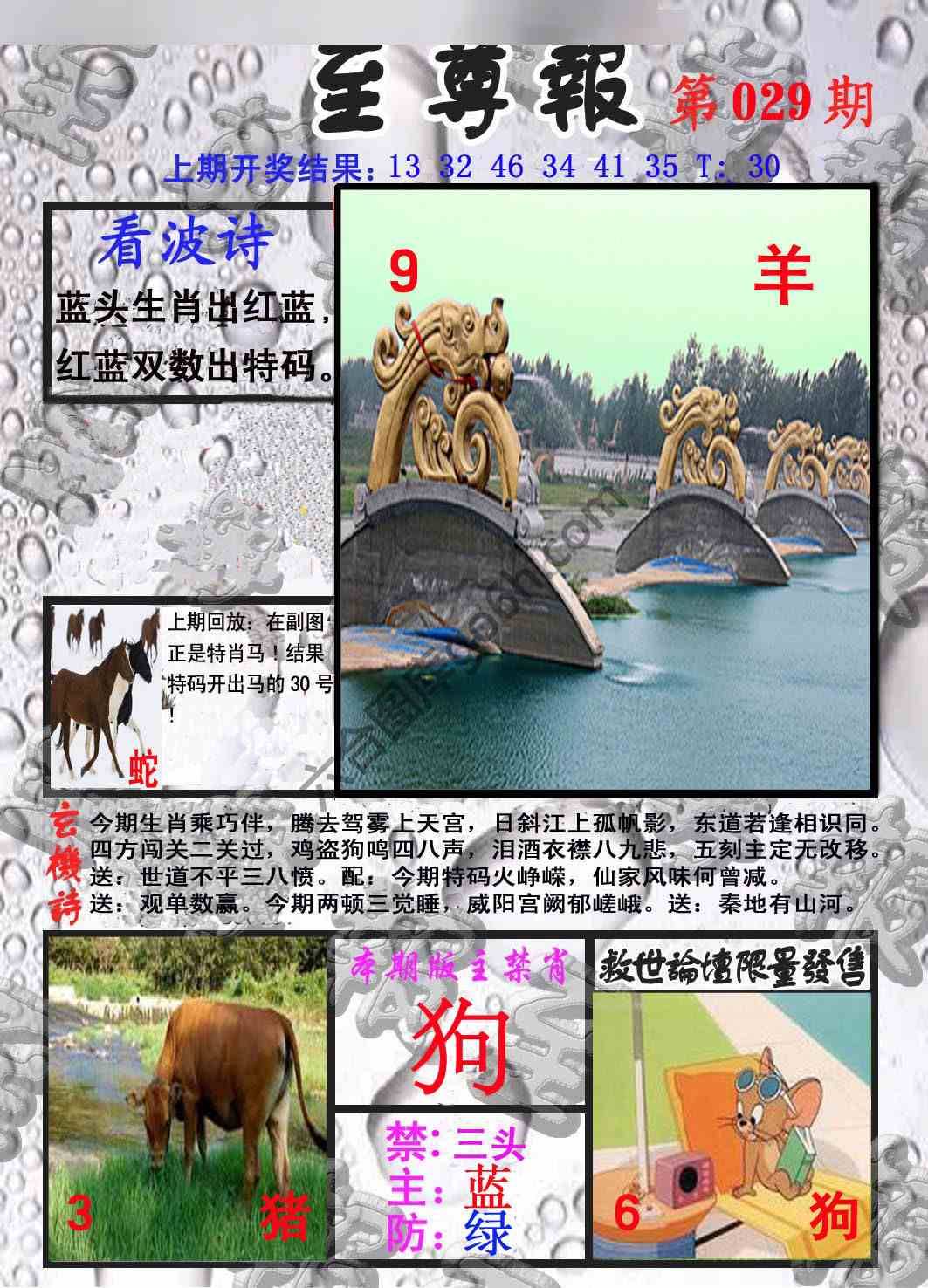 至尊报