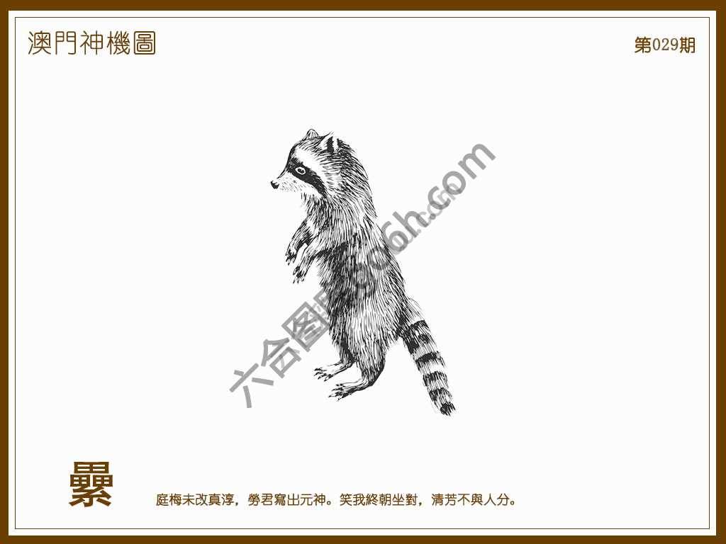 澳门神机图