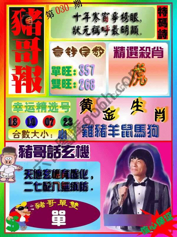 猪哥报