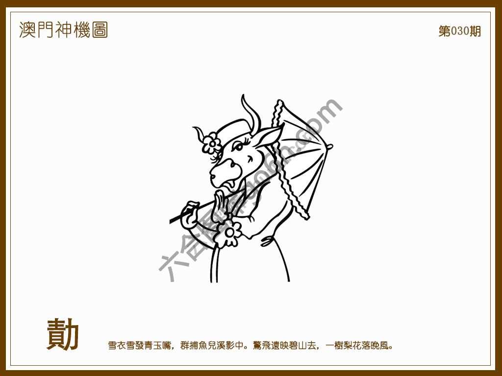 澳门神机图