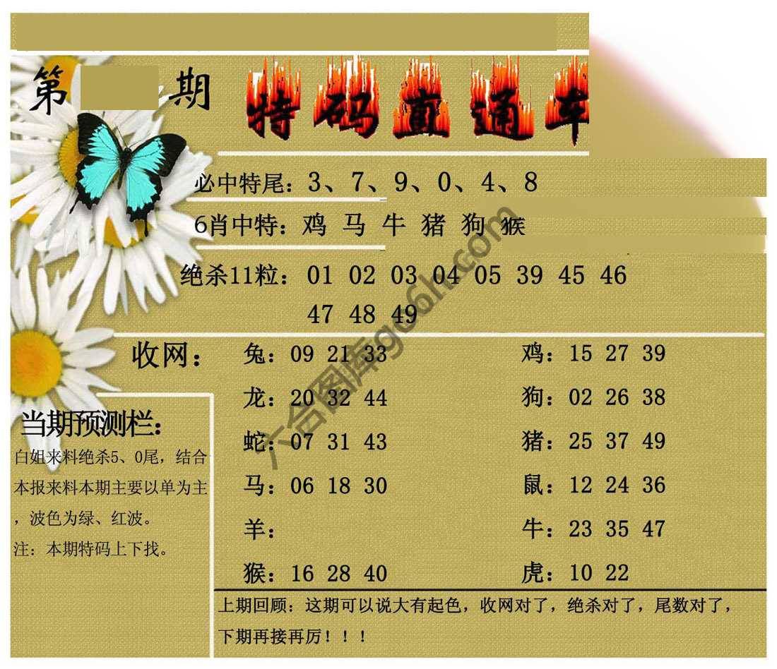 特码直通车