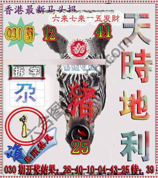 香港马头报