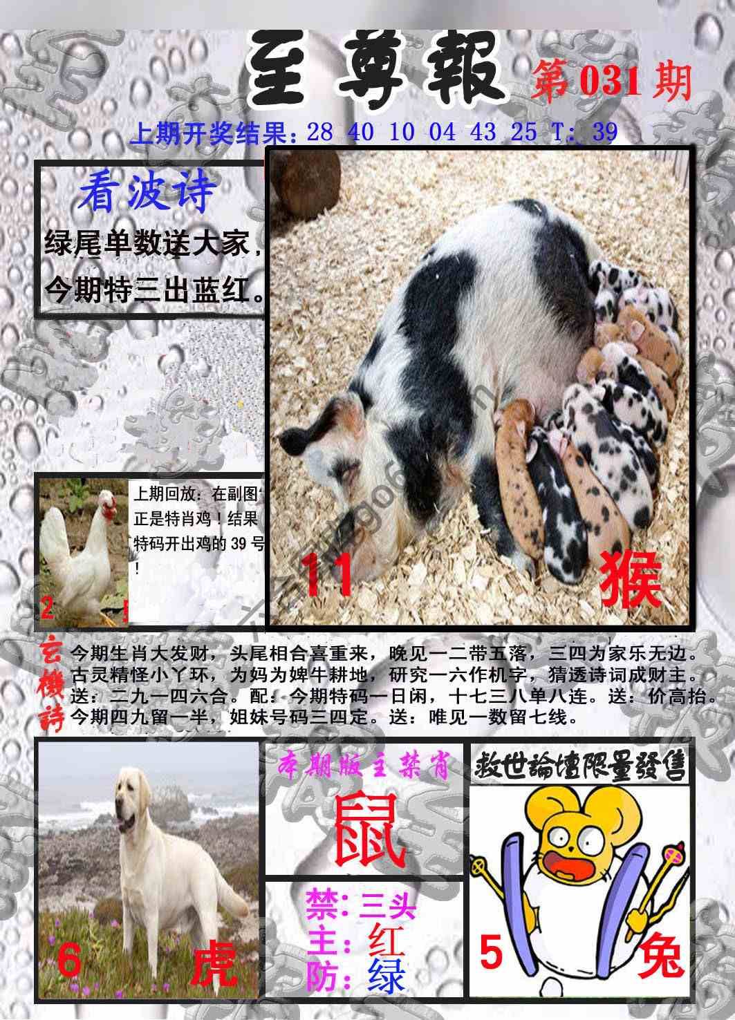 至尊报