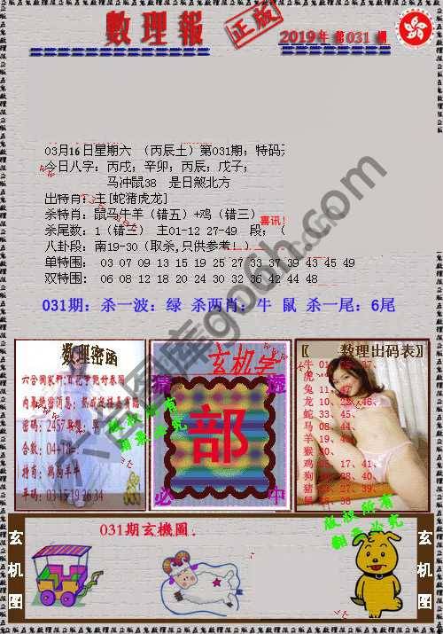 数理报