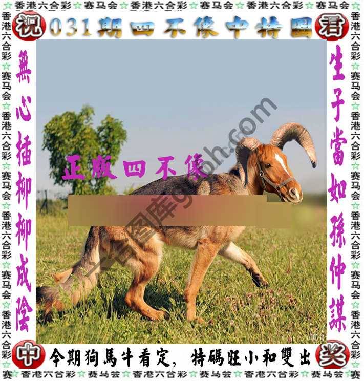 四不像中特图