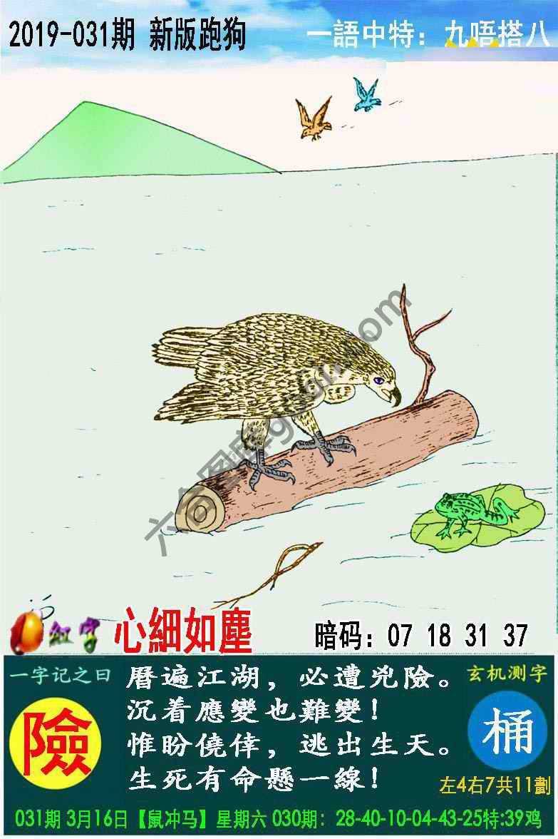 跑狗图（新版）