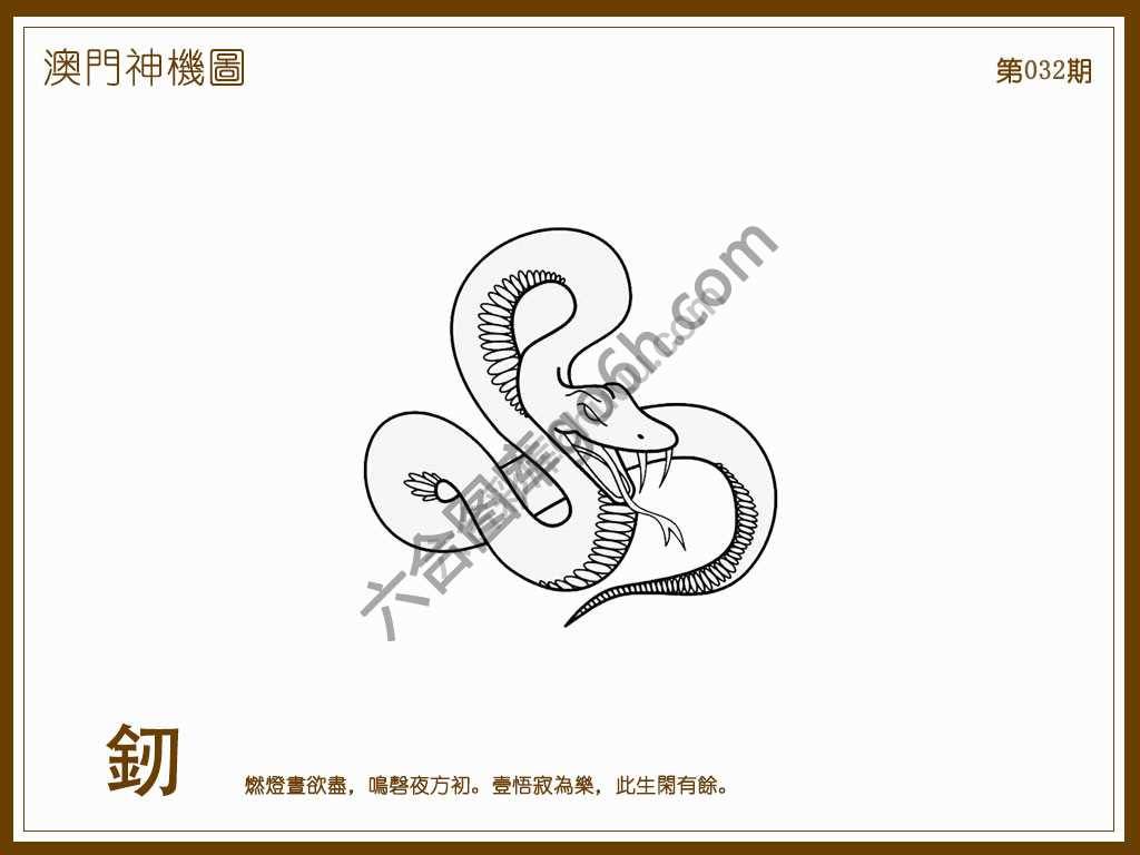 澳门神机图