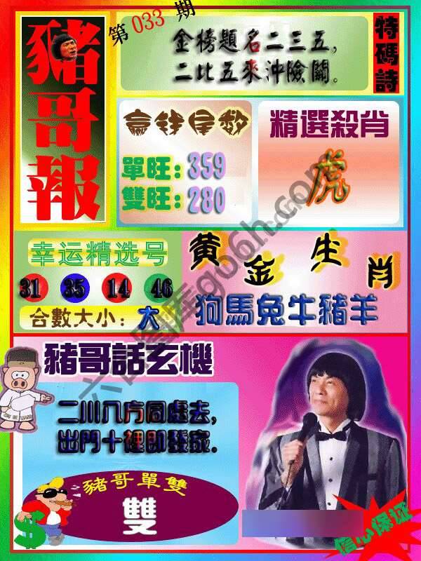 猪哥报