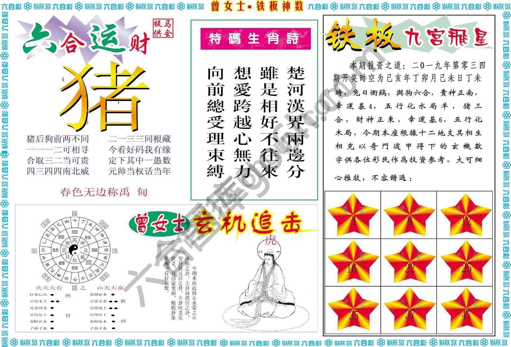 曾女士铁板神数