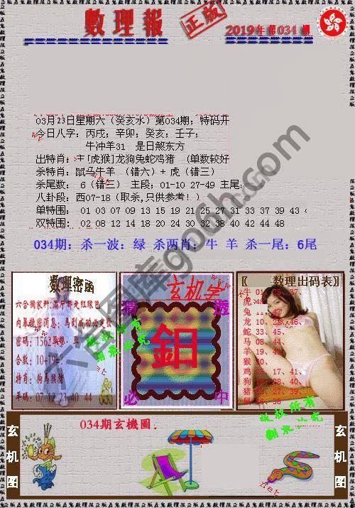 数理报