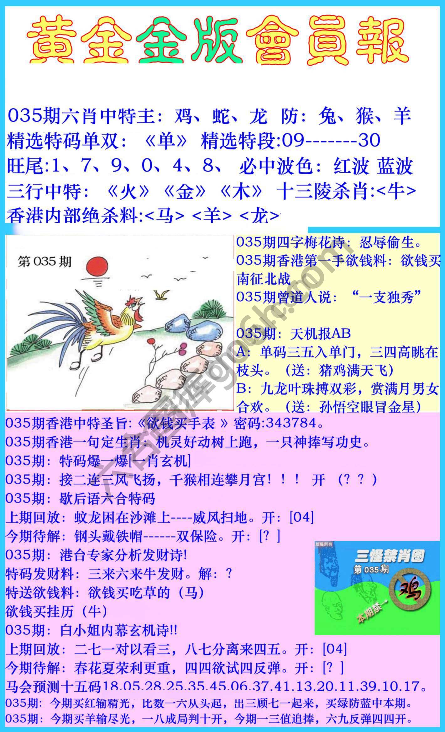 黄金金版会员报