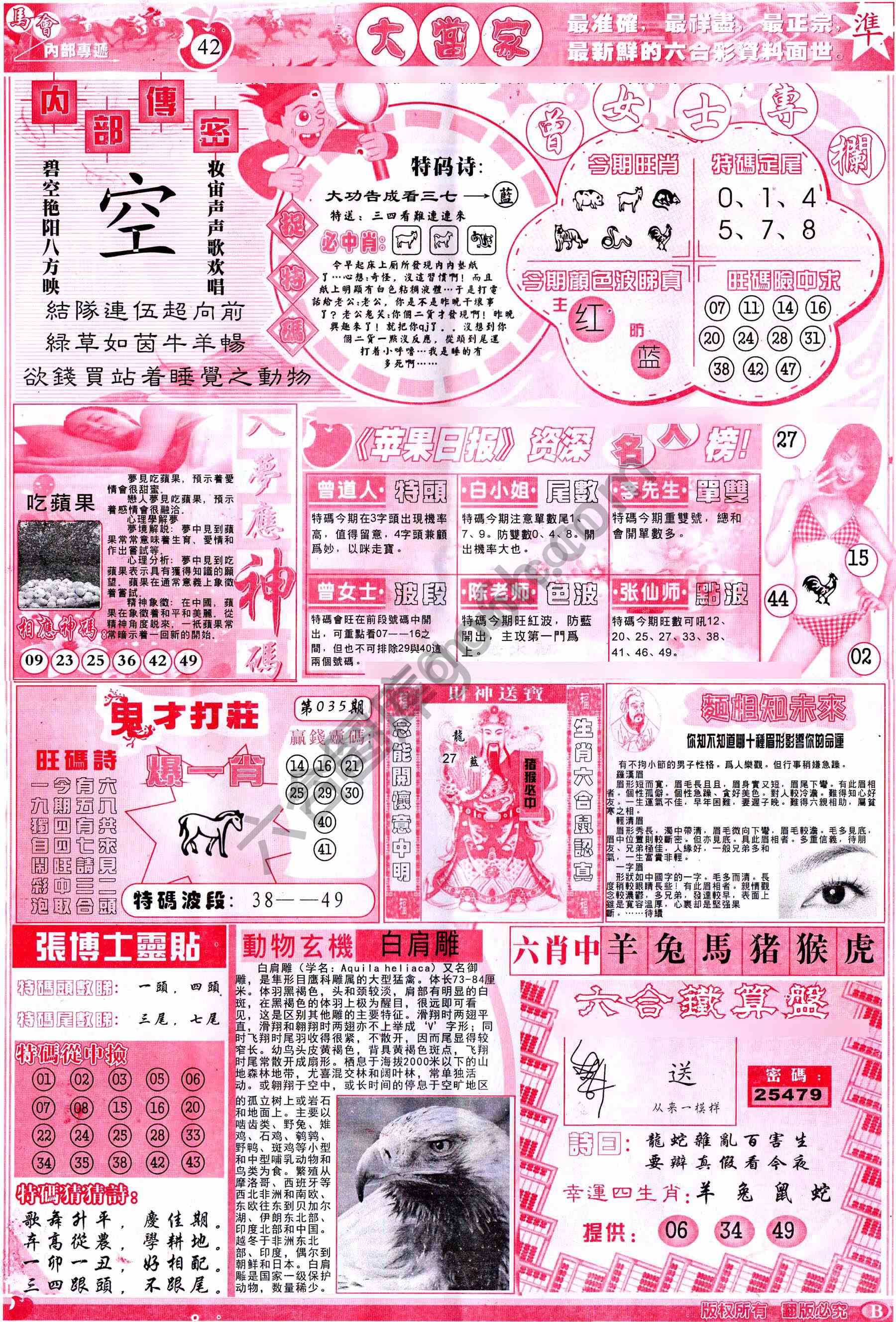 大当家