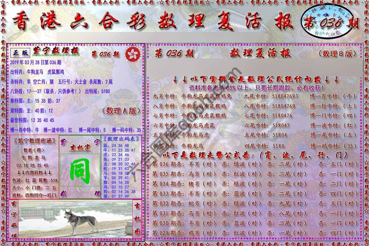 数理复活报