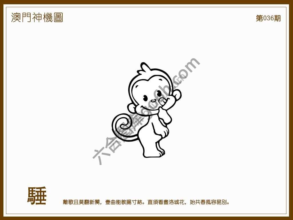 澳门神机图