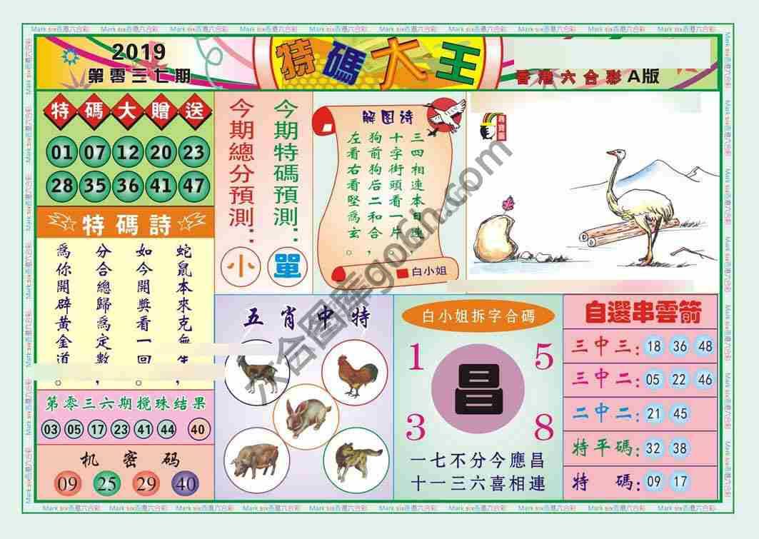特码大王