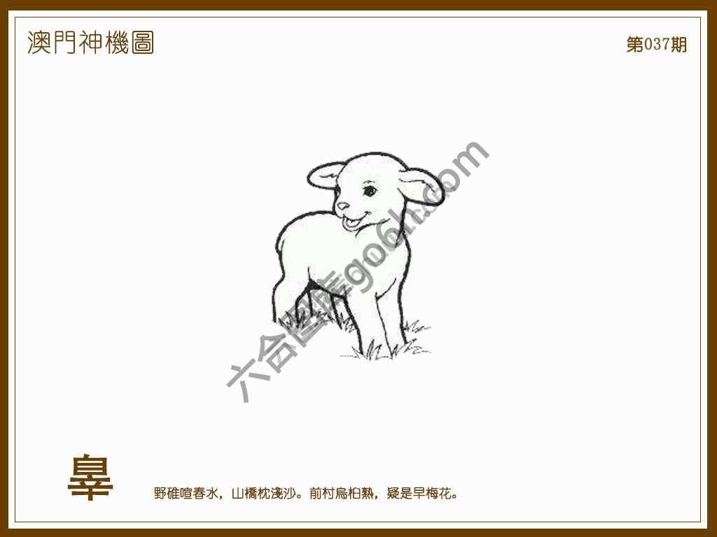 澳门神机图