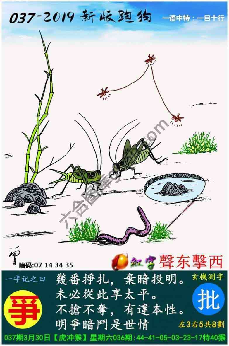 跑狗图（新版）