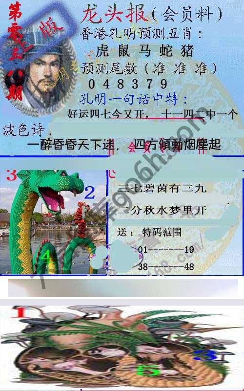 龙头报