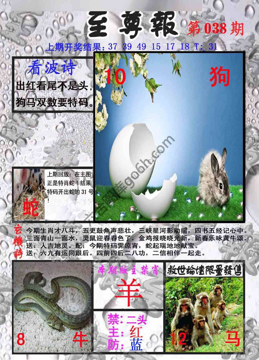 至尊报