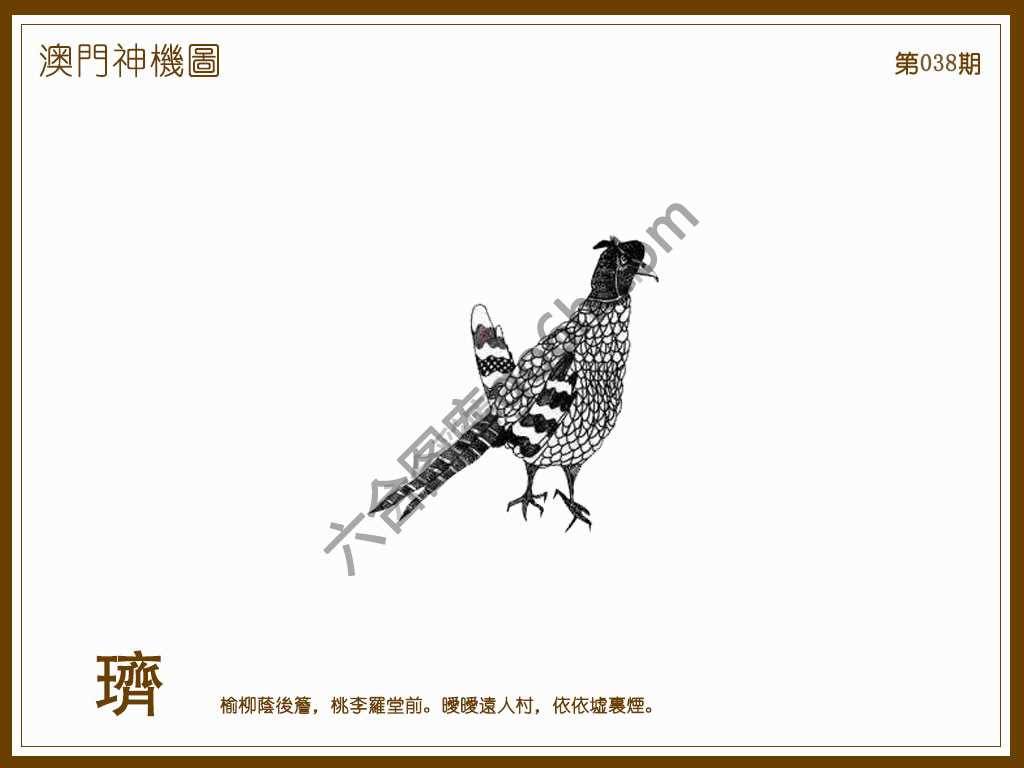 澳门神机图