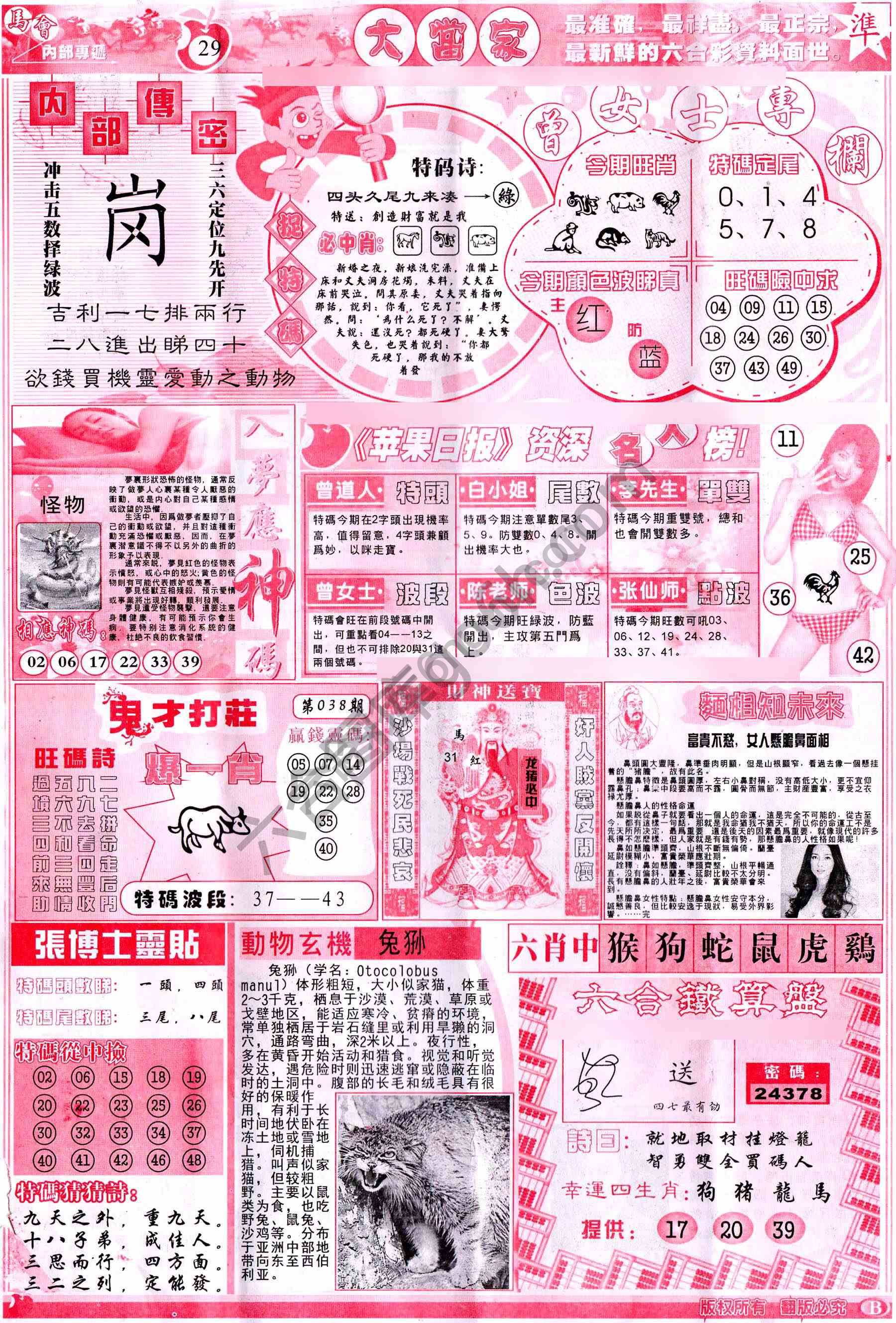 大当家