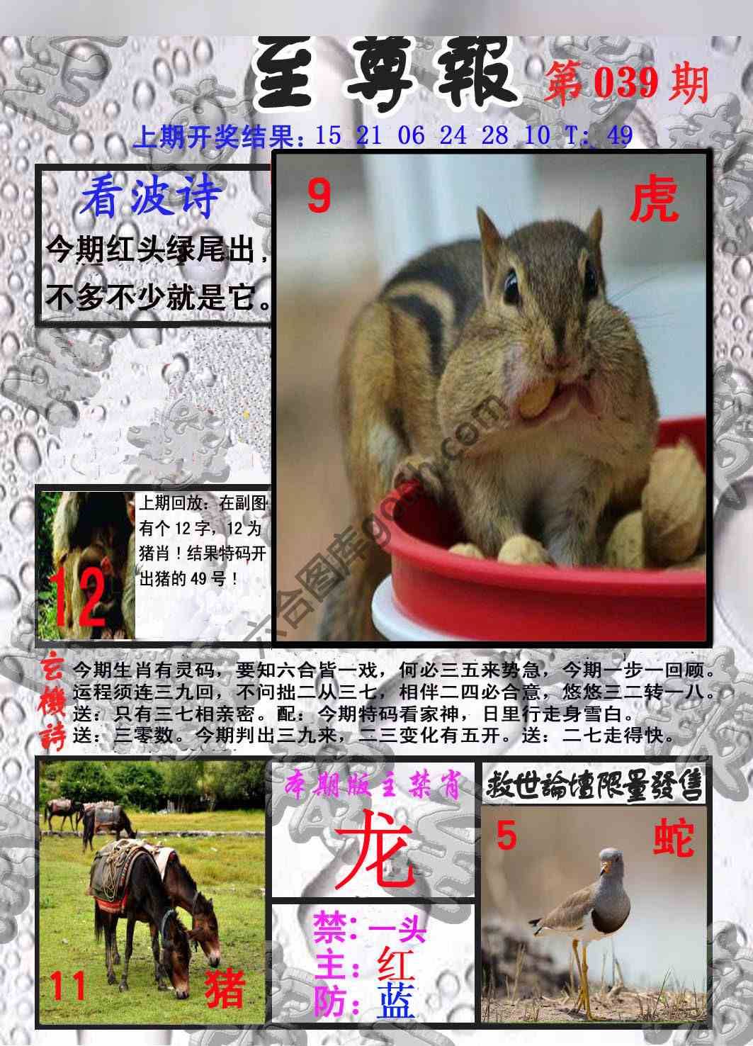 至尊报