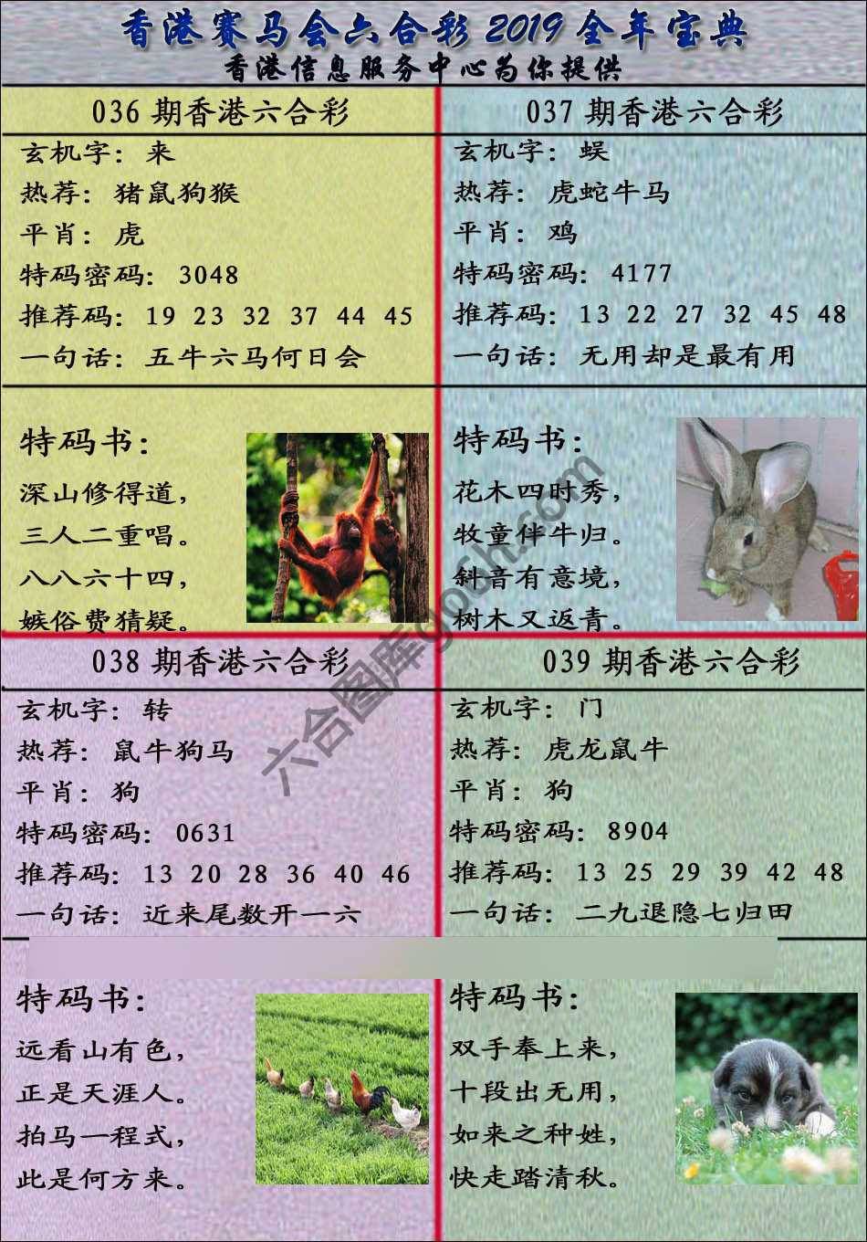 宝典报