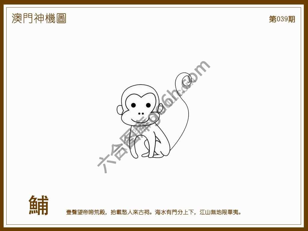 澳门神机图