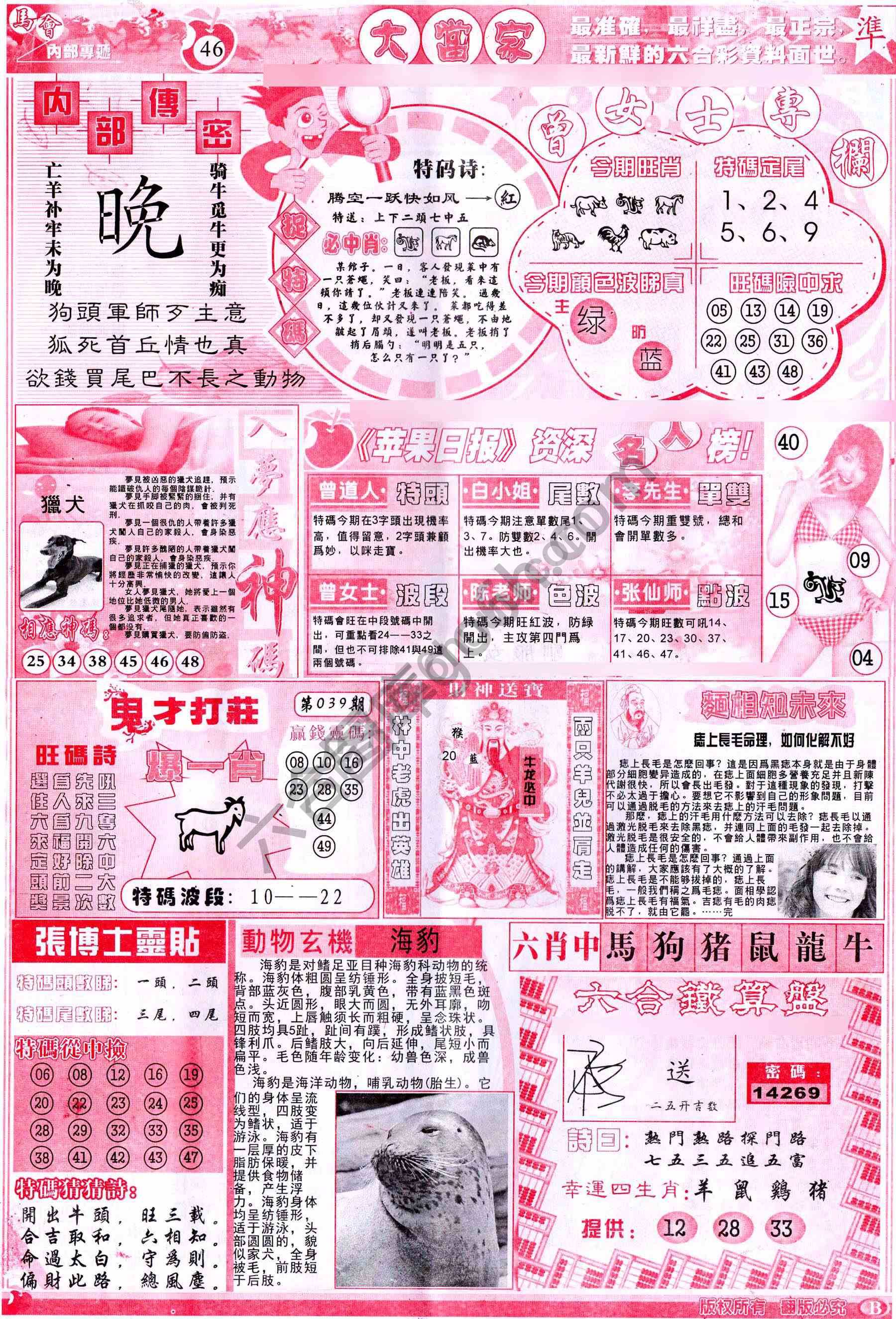 大当家