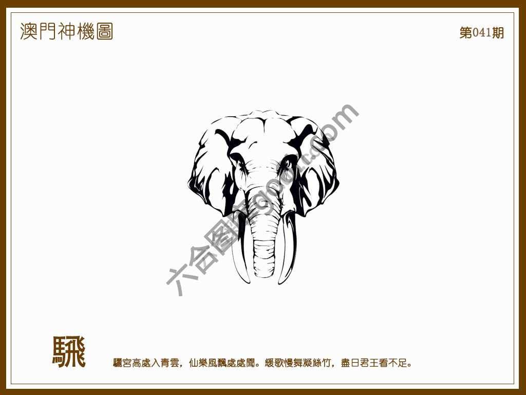 澳门神机图