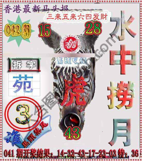 香港马头报