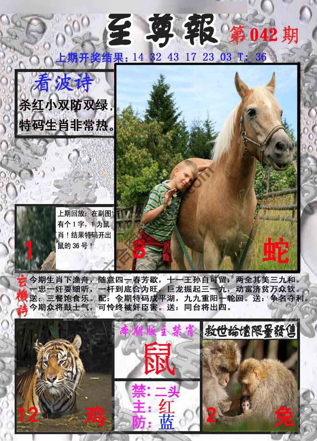 至尊报