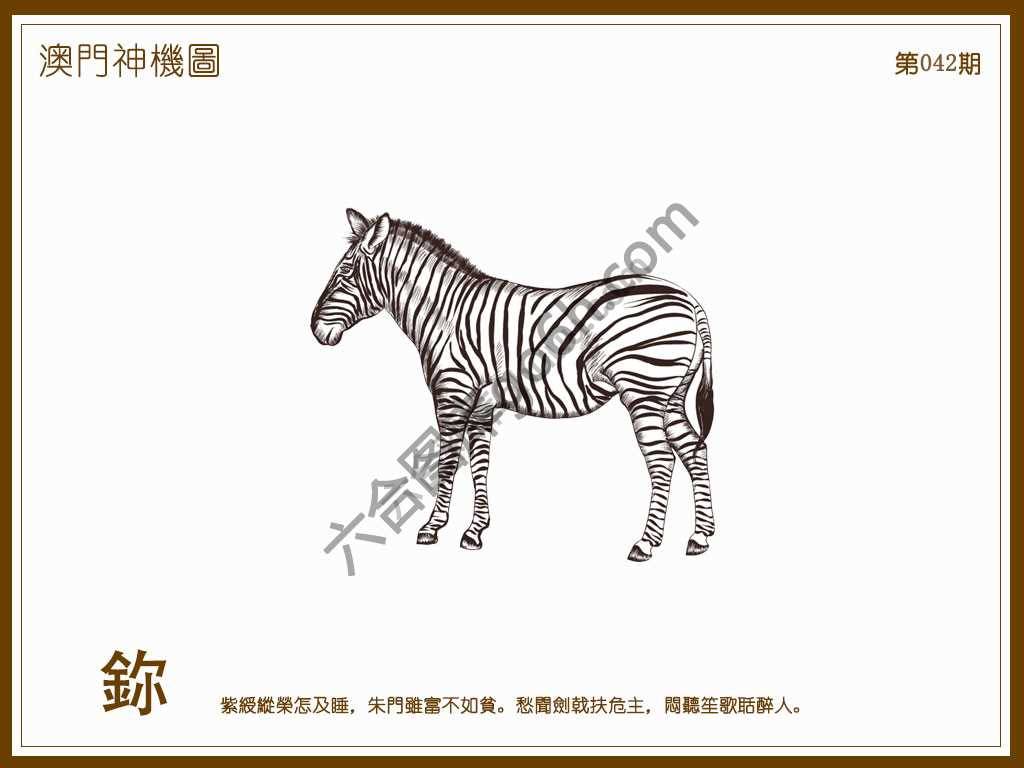 澳门神机图