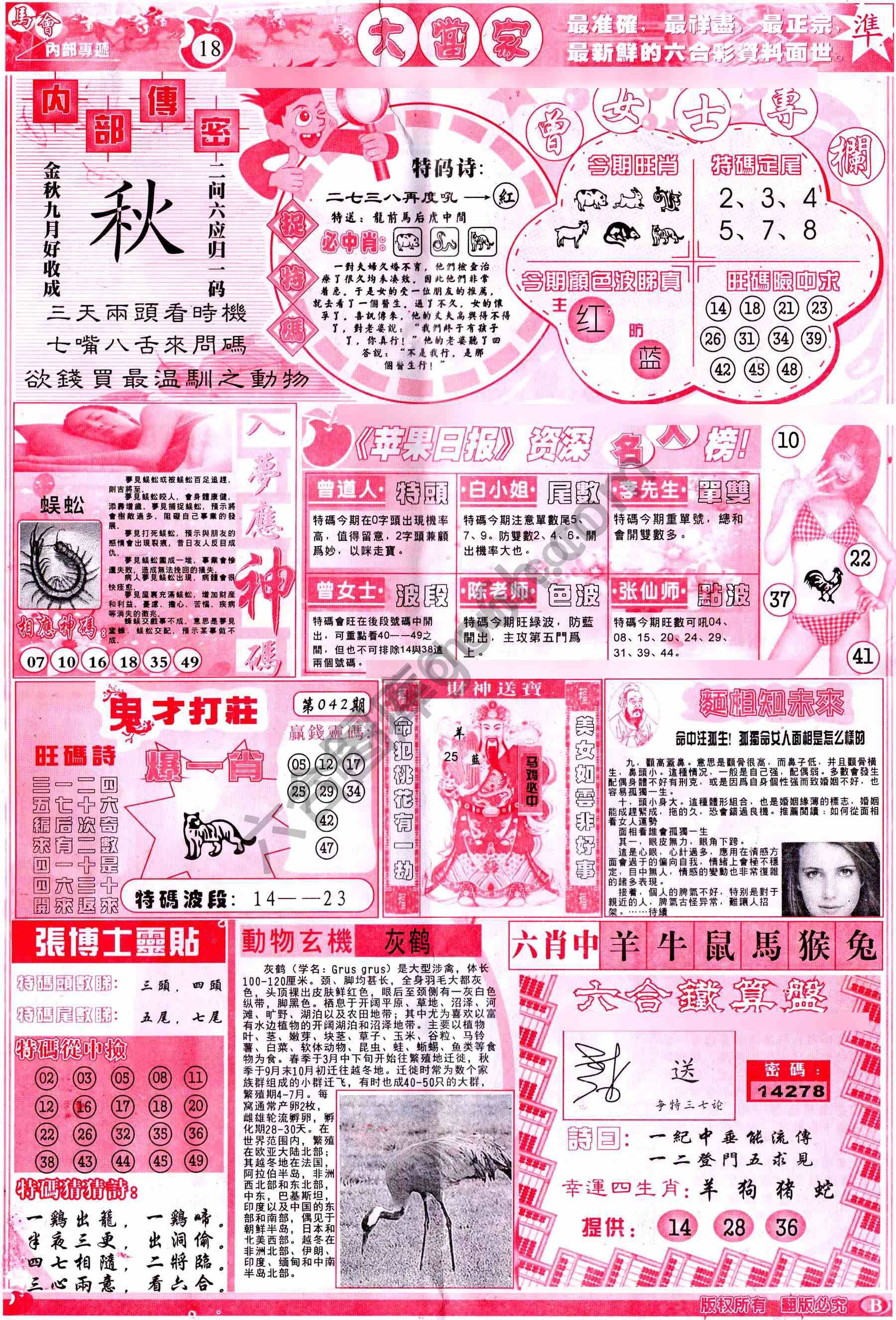 大当家