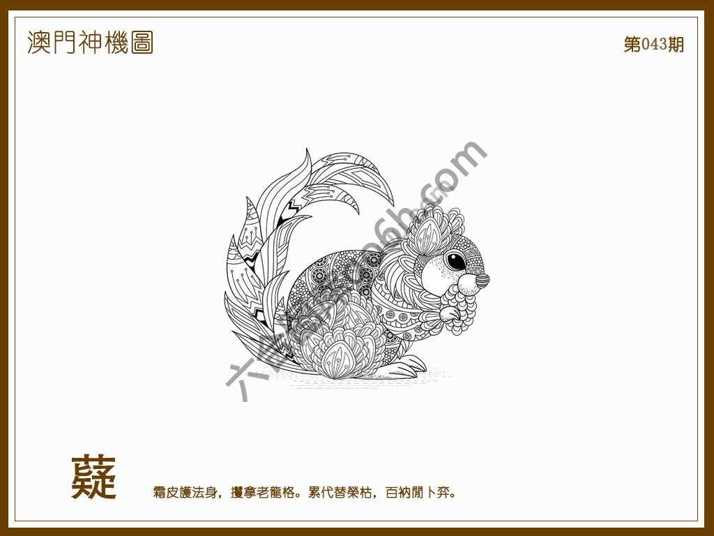 澳门神机图