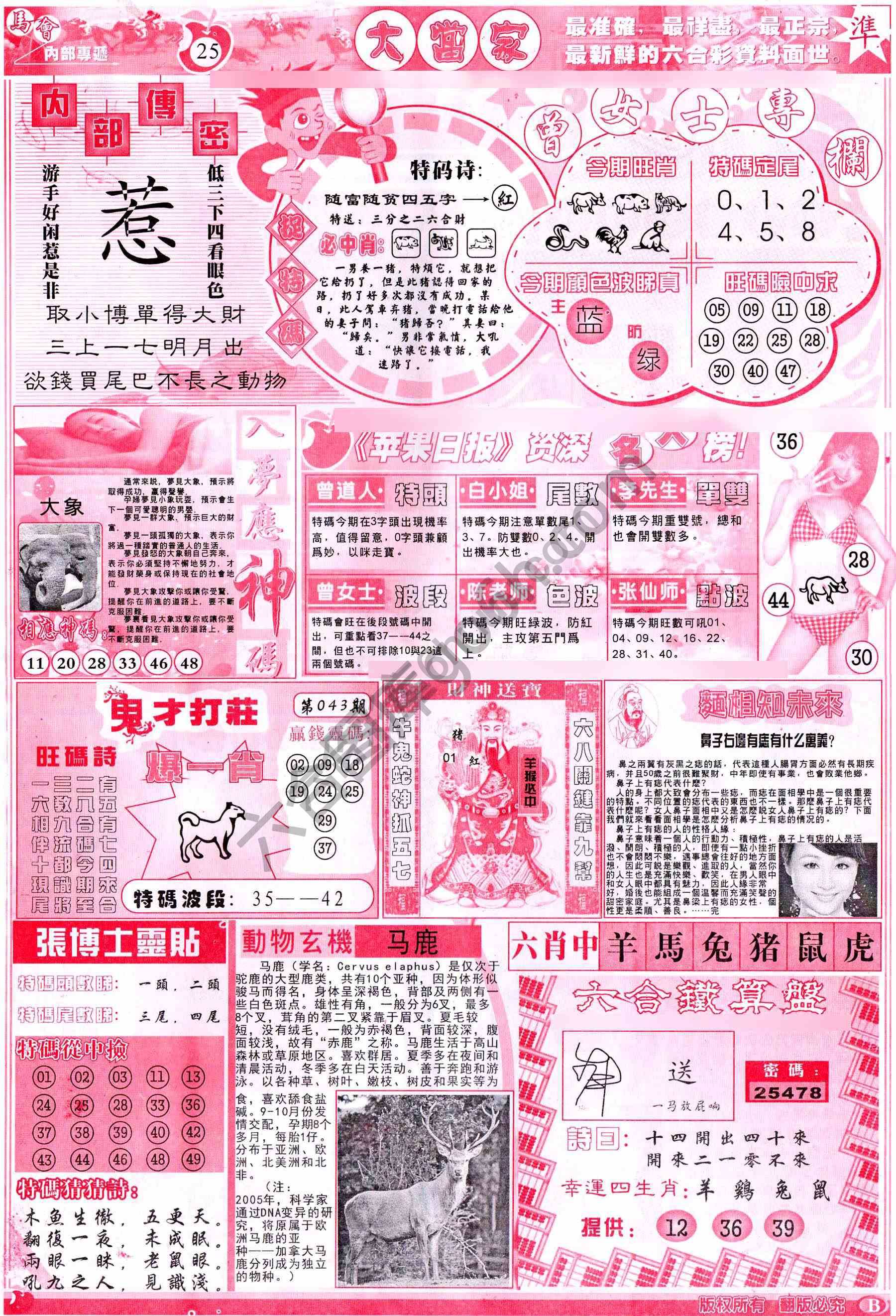 大当家