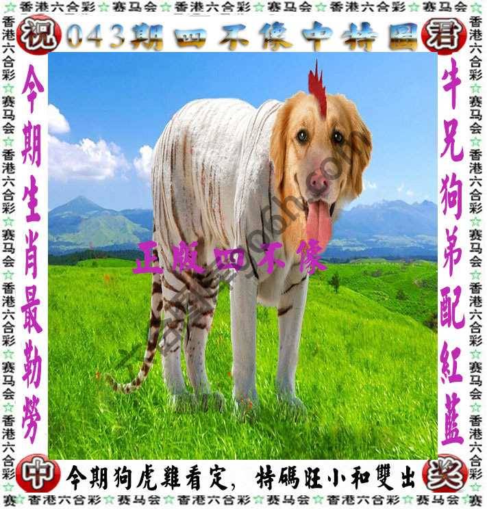 四不像中特图