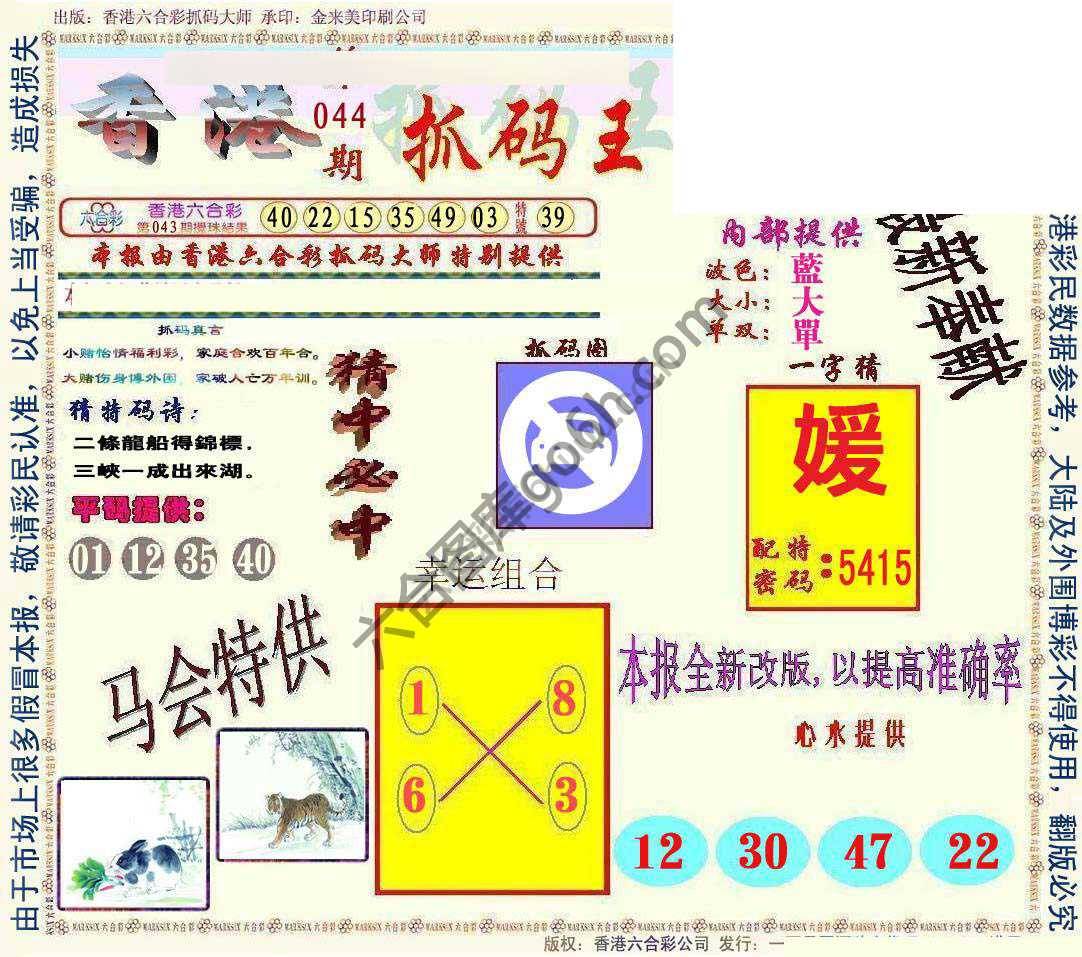 新抓码王